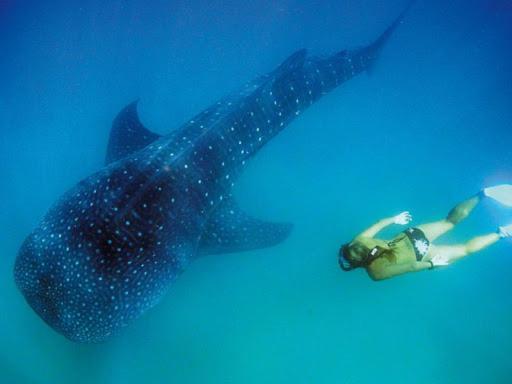 Culla Lodge Inhambane Dış mekan fotoğraf